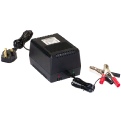 Golf Battery Charger